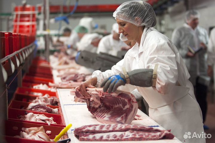 Жиловщик на мясное производство