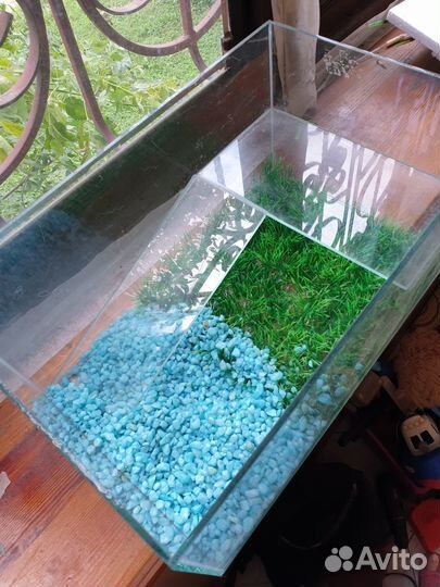 Аквариум
