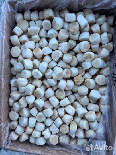 Гребешок Курильский Размер L 60/80