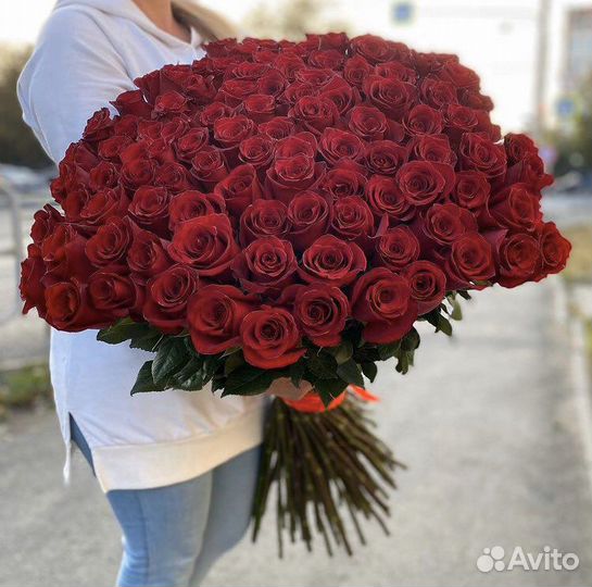 Роза Эквадор