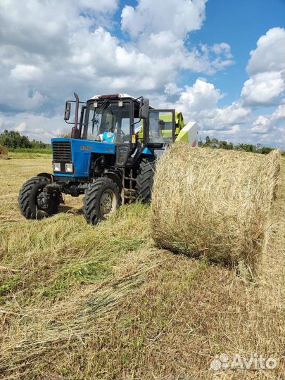 Сено луговое 2023 г. В наличии. доставка