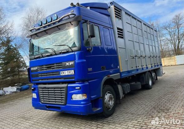 В разборке грузовик DAF,XF 95 2002-2005