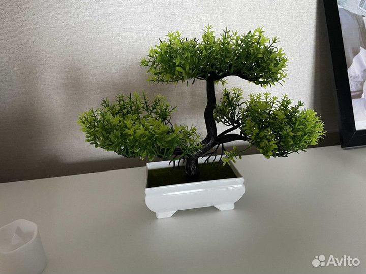 Искусственное растение, дерево Бонсай
