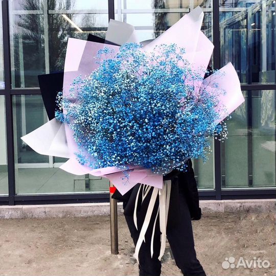 Букеты из Цветной Гипсофилы. Доставка/Самовывоз