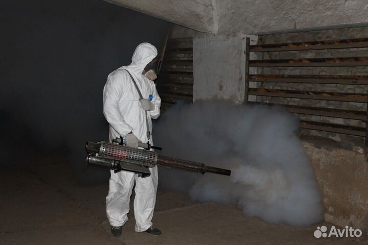 Уничтожение клопов, мышей, крыс, клещей, кротов/ос