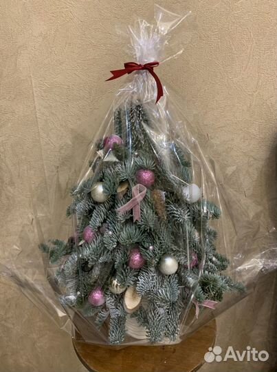 Ëлочки из натуральной хвои (нобилис)