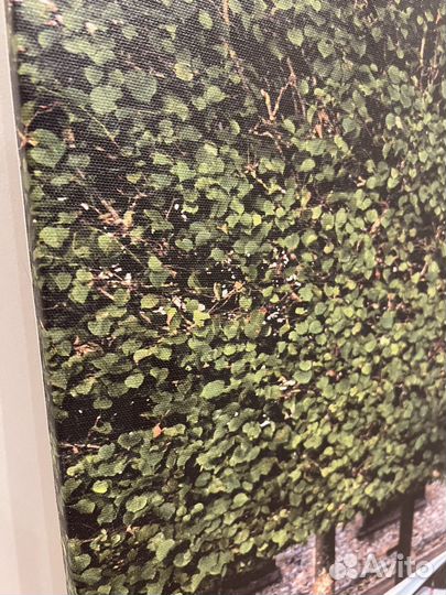 Интерьерная картина