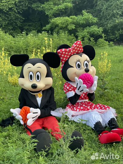 Костюм для аниматора