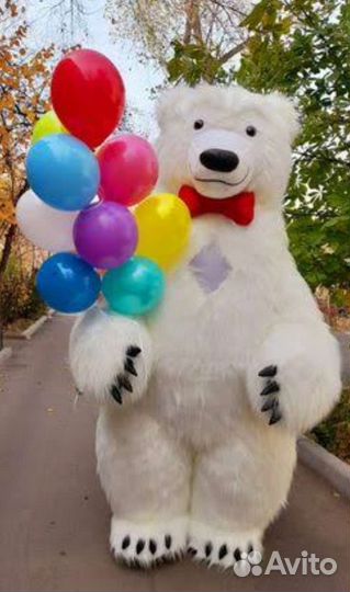 Белый мишка поздравление, аниматоры