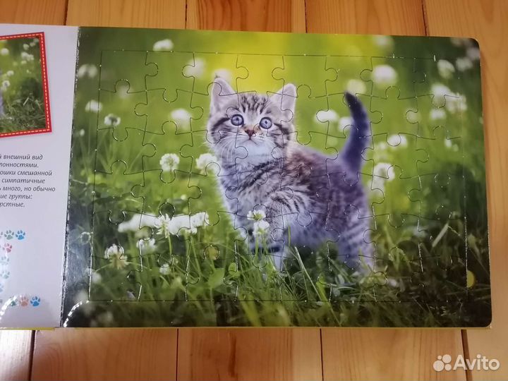 Книга-пазл о котиках новая