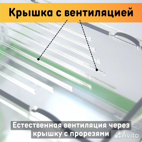 Муравьиная ферма 