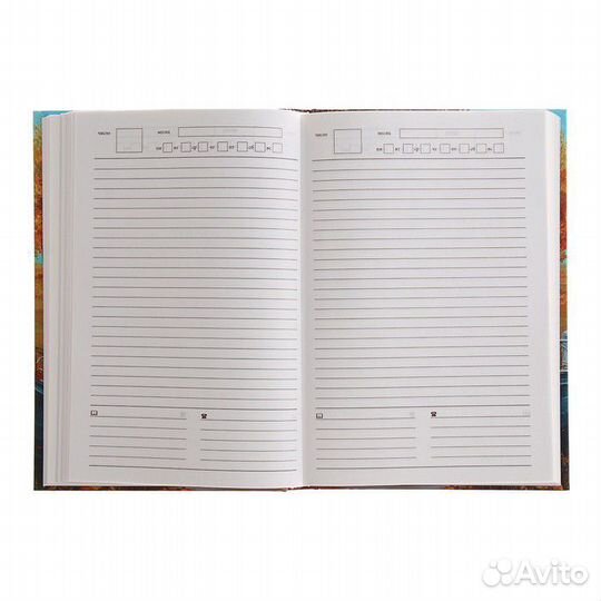 Ежедневник учителя недатированный, А5, 144 л