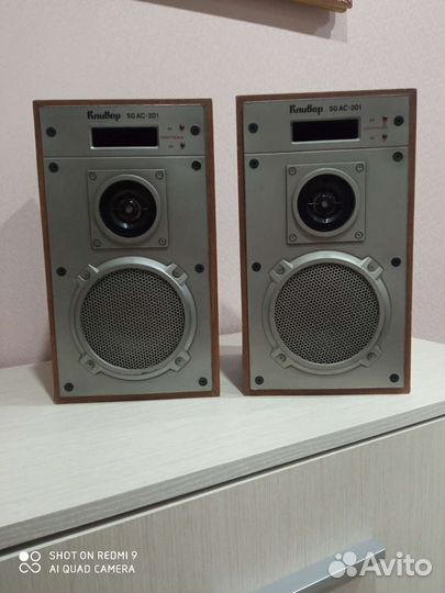 Акустическая система