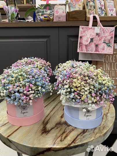 Гипсофила в коробках