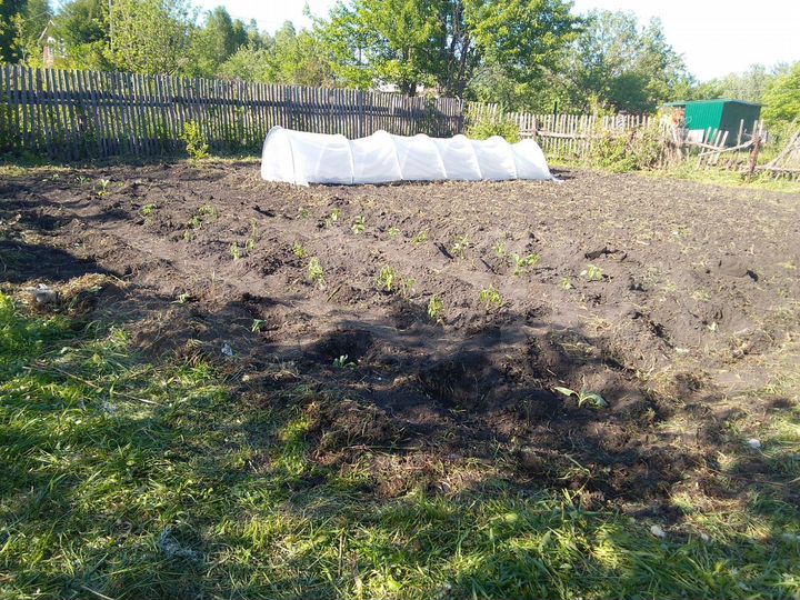 Дача 20 м² на участке 4 сот.