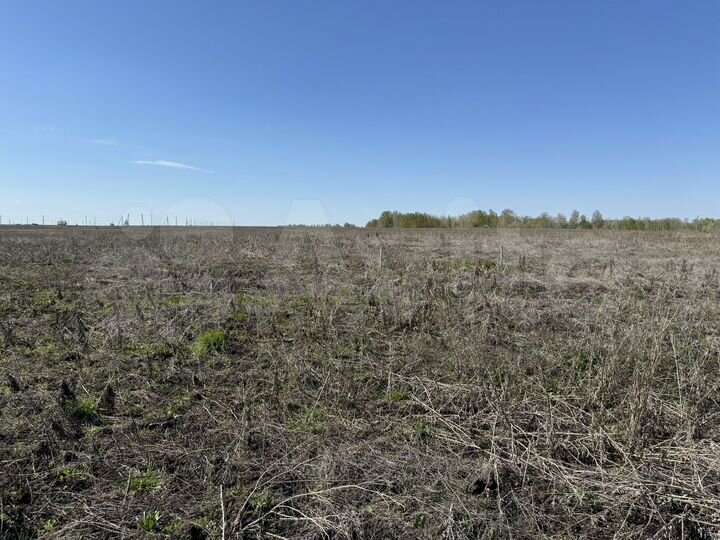 Участок 8,1 сот. (ИЖС)