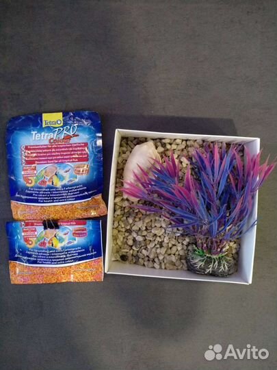 Аквариумы прямоугольный и круглый+ комплектующие
