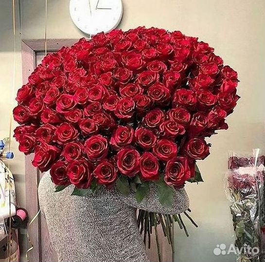 101 роза цветы букеты доставка 25 51 101 роза