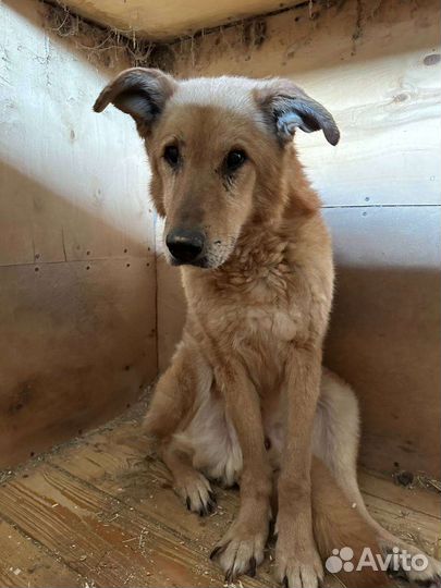 Думаешь обо мне, и я существую