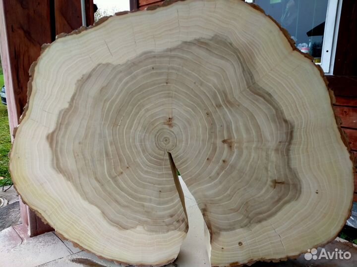 Спил (слеб) дерева с ножками и без