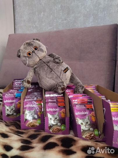 Влажный корм для кошек Whiskas