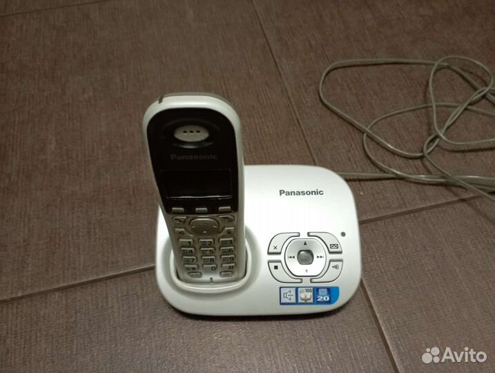 Panasonic
