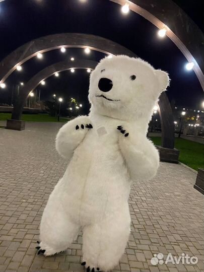 Аниматоры. Шоу