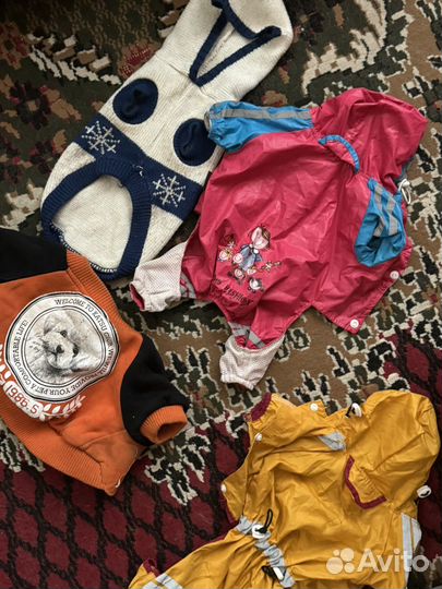 Вещи для маленьких собак