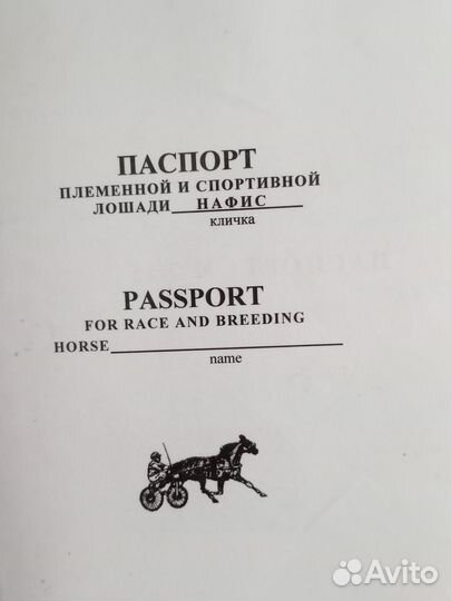 Русские рысаки