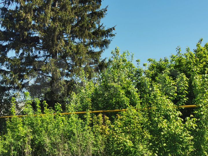 Участок 20 сот. (ИЖС)