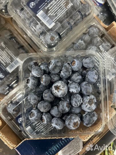 Клубника свежая ягода