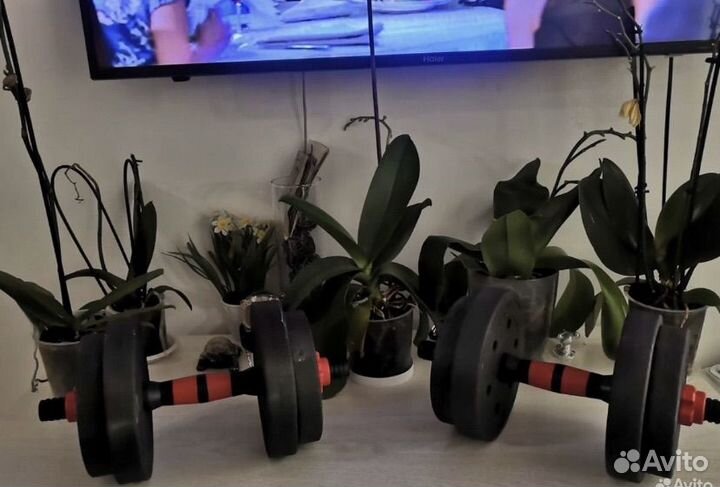 Гантели разборные 10 кг