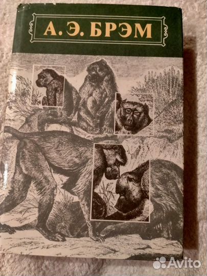 Книги Жизнь животных. А.Э. брэм