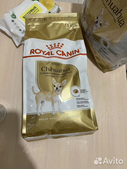 Корм для собак royal canin для чихуахуа