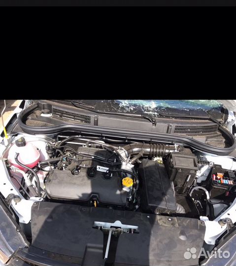 Веста разбирается