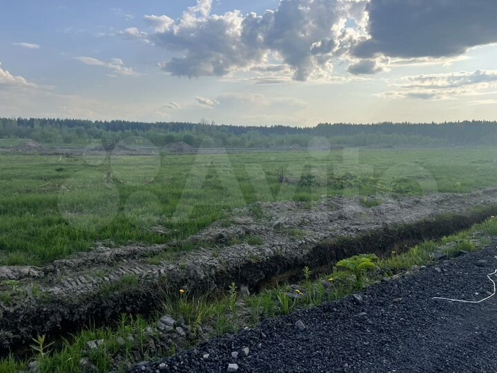 Участок 8 сот. (СНТ, ДНП)