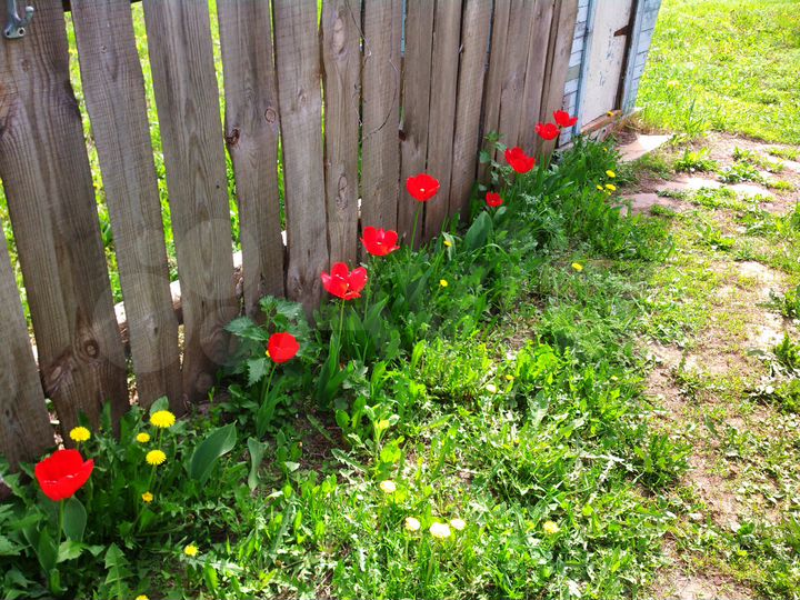 Дом 47 м² на участке 18 сот.