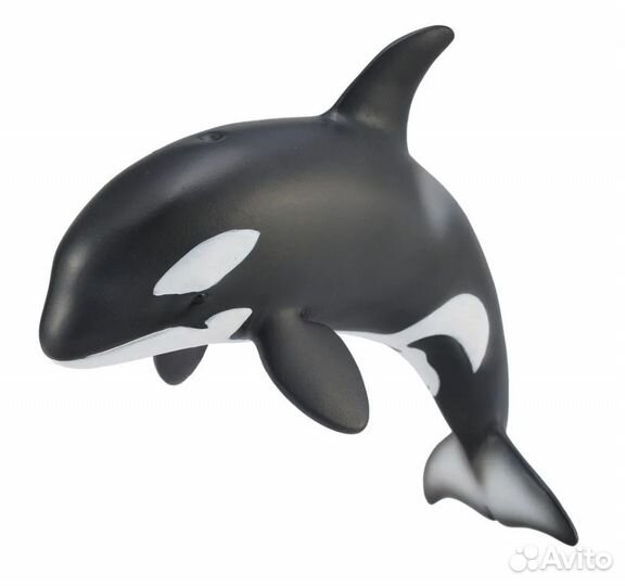 Детёныш касатки, M, 88618b