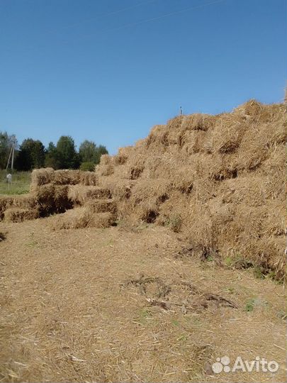 Солома в кипах с доставкой