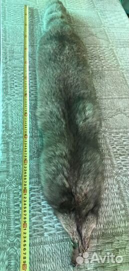 Шкурка писца