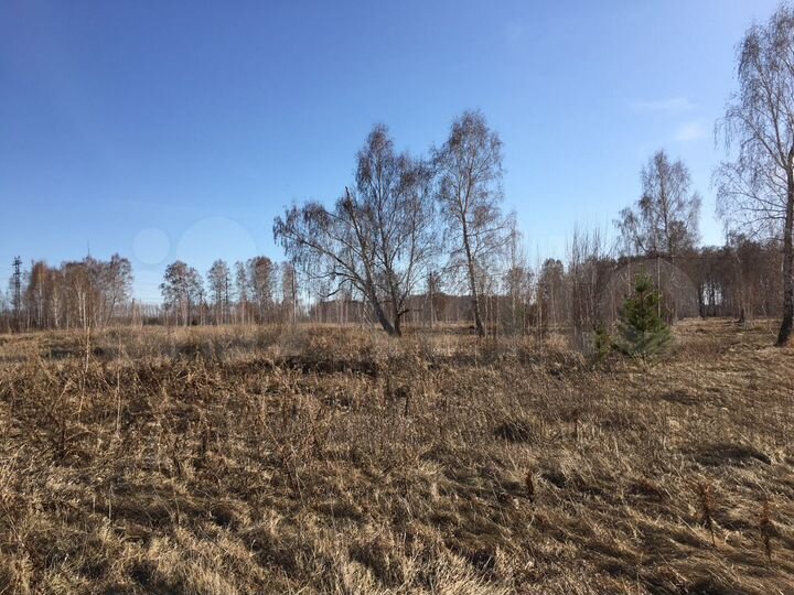 Участок 12 сот. (ИЖС)