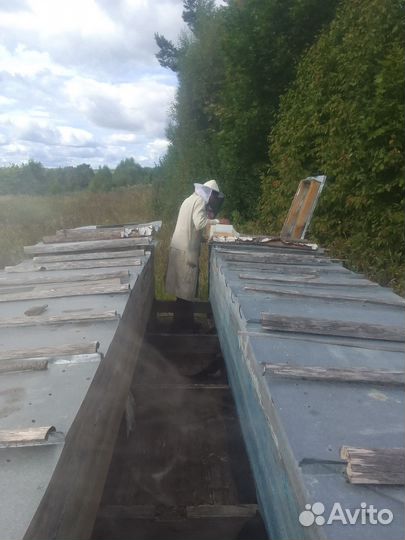 Улей для пчел бу