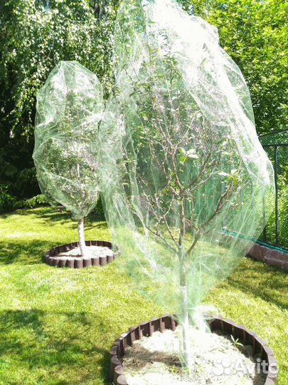 Сетка от птиц