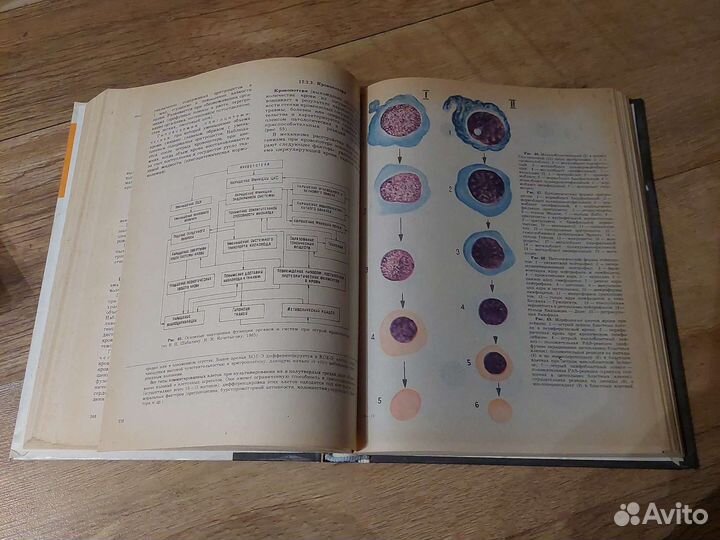 Адо А.Д. Новицкий В.В. Патологическая физиология