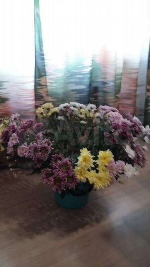 Квартира-студия, 28 м², 2/3 эт.