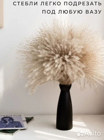 Мискантус стабилизированный (60 веточек)