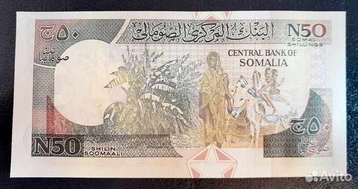 Сомали 50 шиллингов 1991 г. UNC