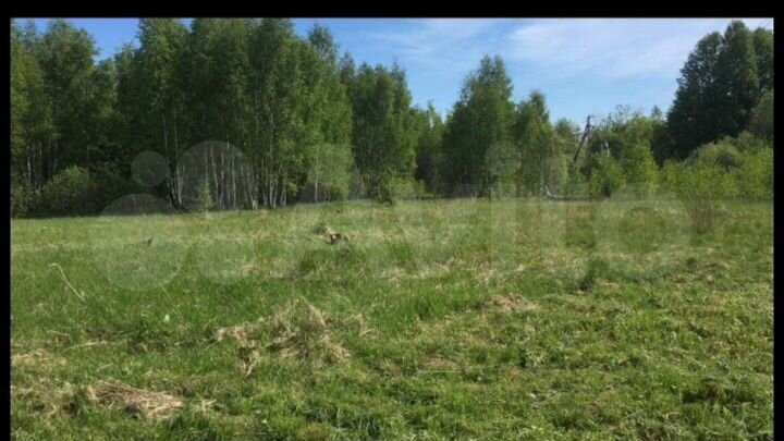 Участок 10 сот. (ИЖС)