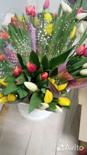 Тюльпаны в розницу