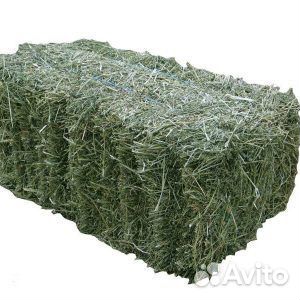 Сено в туках